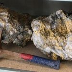 В Австралии нашли необычные камни с золотом.