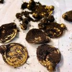 An archaeological find on an island in southern Norway is dubbed the gold find of the century.