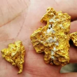 THE GOLD THAT LED HUMANITY